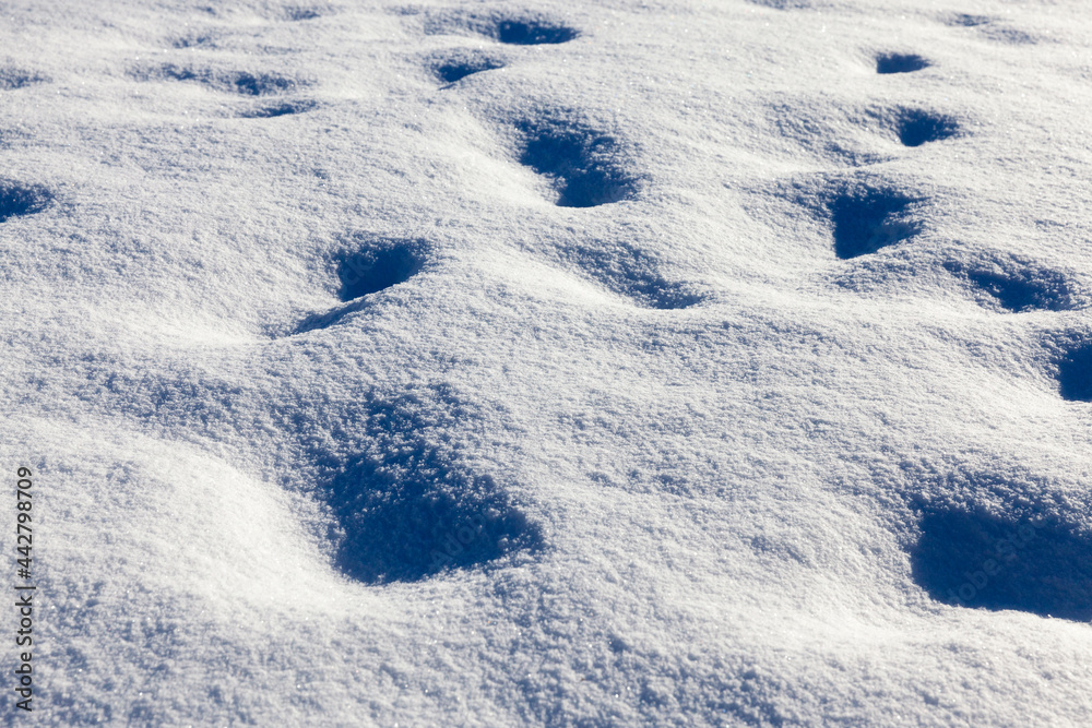 footprints and dents in the snow after people passed footprints and dents in the snow after people passed