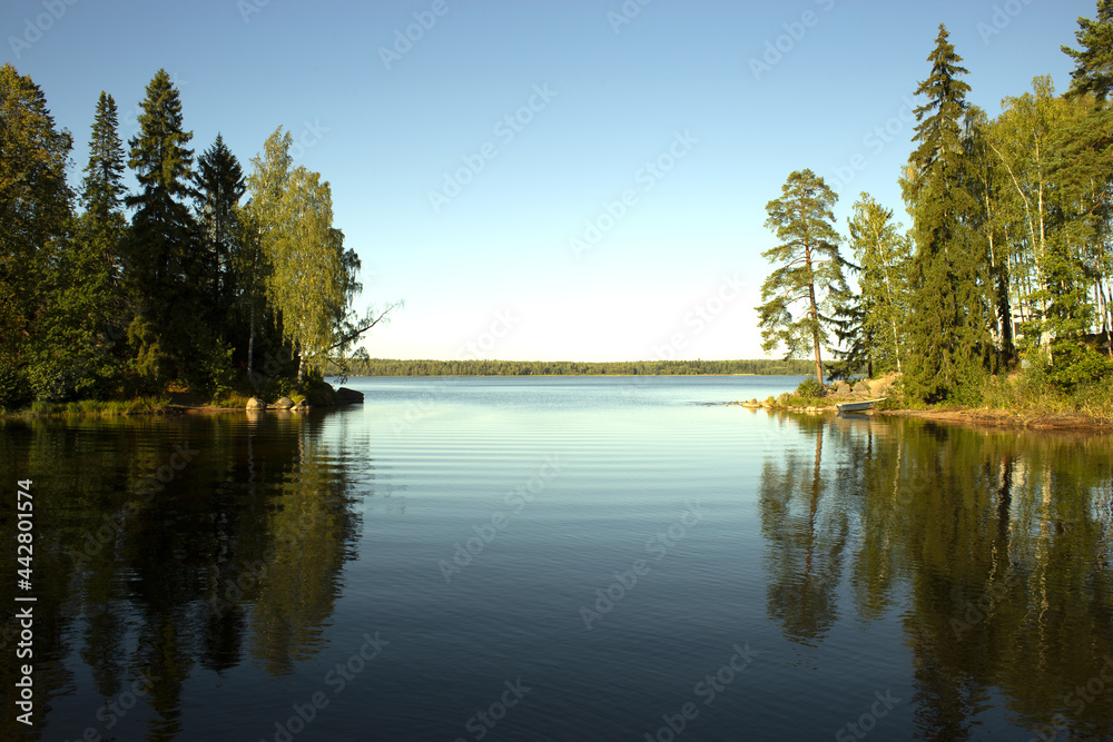 Reflections on the Coniferous Forest on a Wilderness Lake