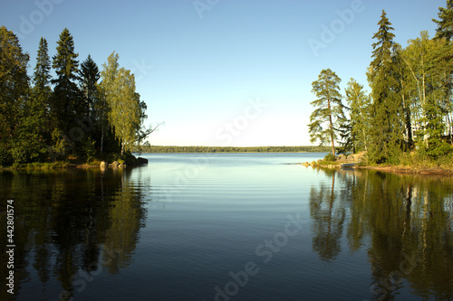 Reflections on the Coniferous Forest on a Wilderness Lake photo