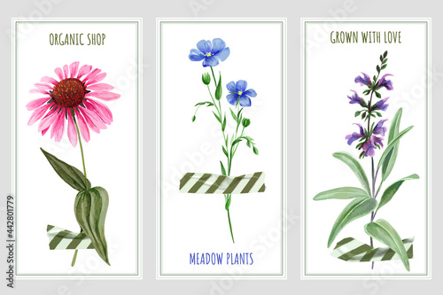 Three vertical banners with wild flowers and tape