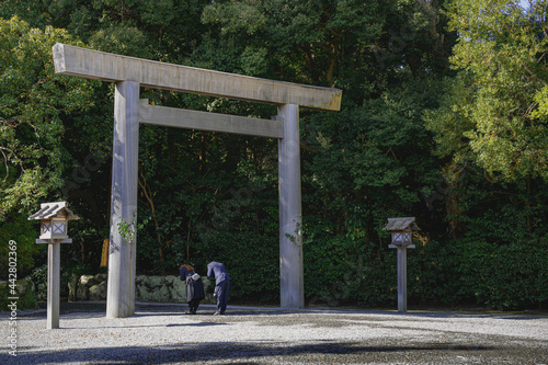 伊勢外宮 参道の風景 photo