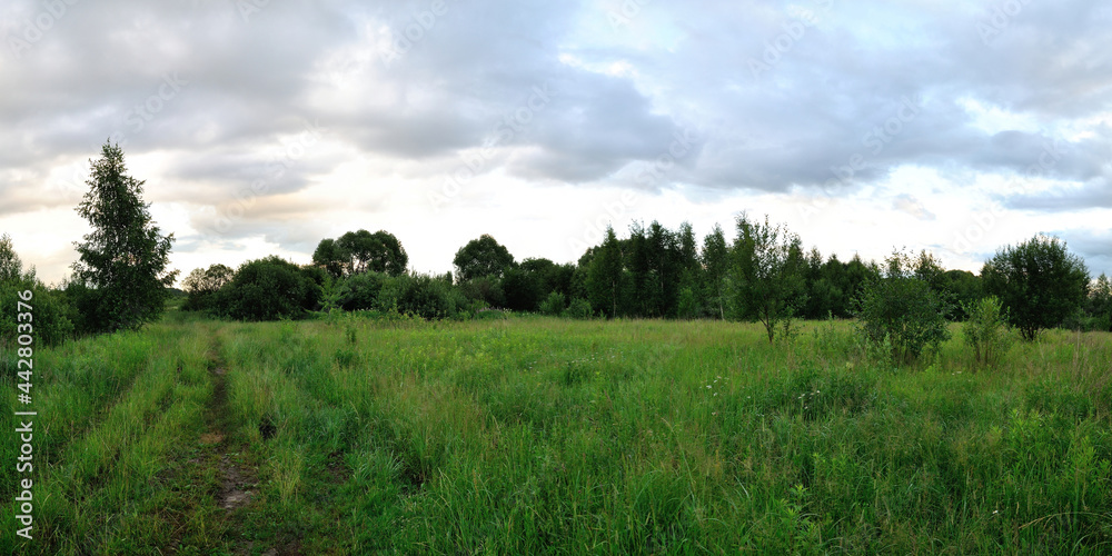 A summer walk through the forest, a beautiful panorama.
A summer walk through the forest, a beautiful panorama.