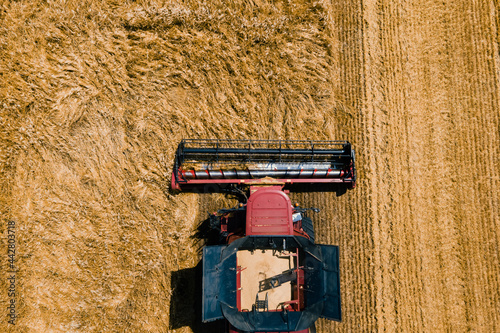 from above of agricultural combine harvests wheat in field in summer on sunny day in sunlight aerial view drone flight over modern combine harvesting wheat on the field. photo