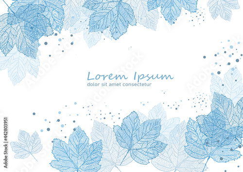 liście klonu-  tło, wzór, szablon- ilustracja wekrorowa
