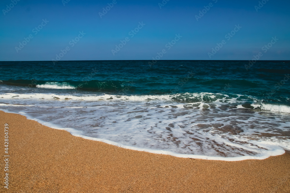 Nice landscape on the seashore with blue sky.