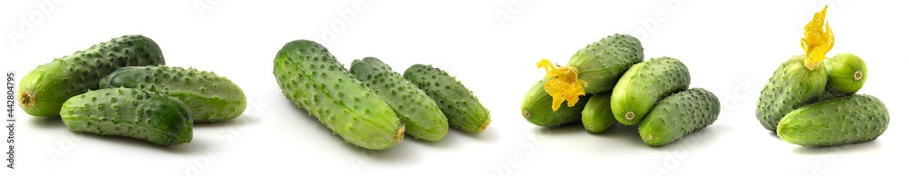 Collection of four photos of fresh cucumbers isolated on white background. Green gherkins collage. Collection of four photos of fresh cucumbers isolated on white background. Green gherkins collage.