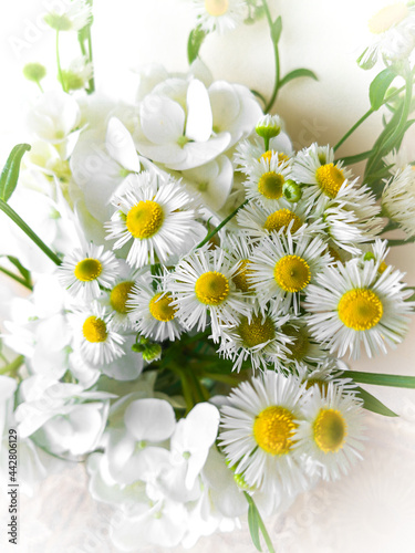 bouquet of daisies