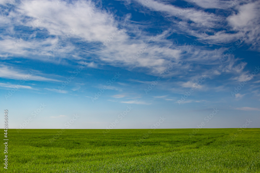 Landscape view with blue sky and green grass on slope background.