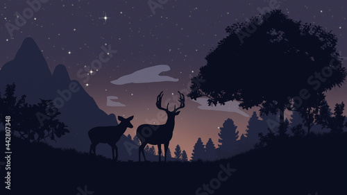 Deer against the background of the night forest. Starry sky. A pair of deer. Summer forest. © RantGoil