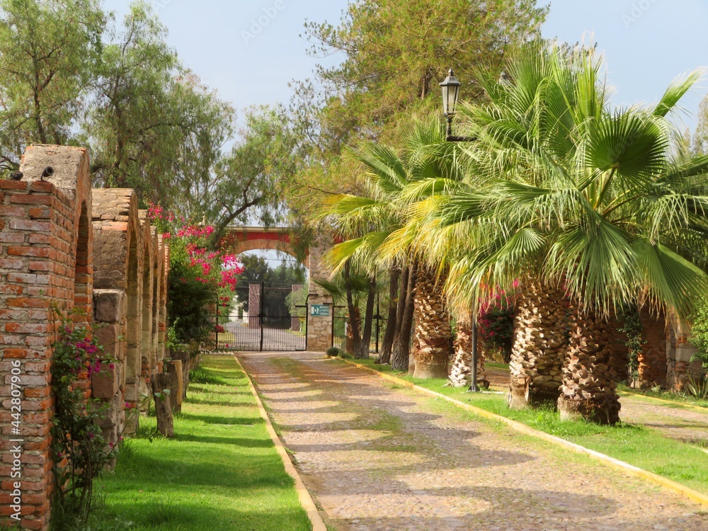 archway of an old Mexican manor-hacienda