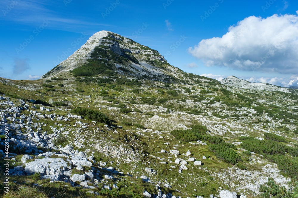 Cima 12 (Peak Twelve) on the Asiago plateau, Italy