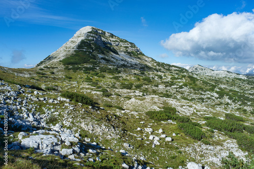 Cima 12 (Peak Twelve) on the Asiago plateau, Italy