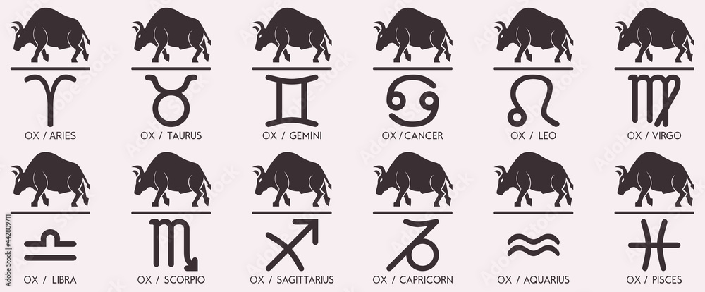 Vector year of the ox Animal icons eastern annual horoscope and zodiac signs in one symbol 2021 2033 2045 2057 years