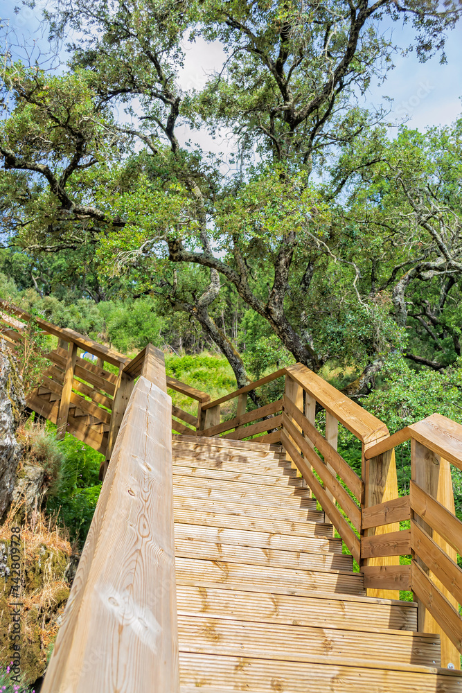 A tourist trail with a wooden staircase. Leisure