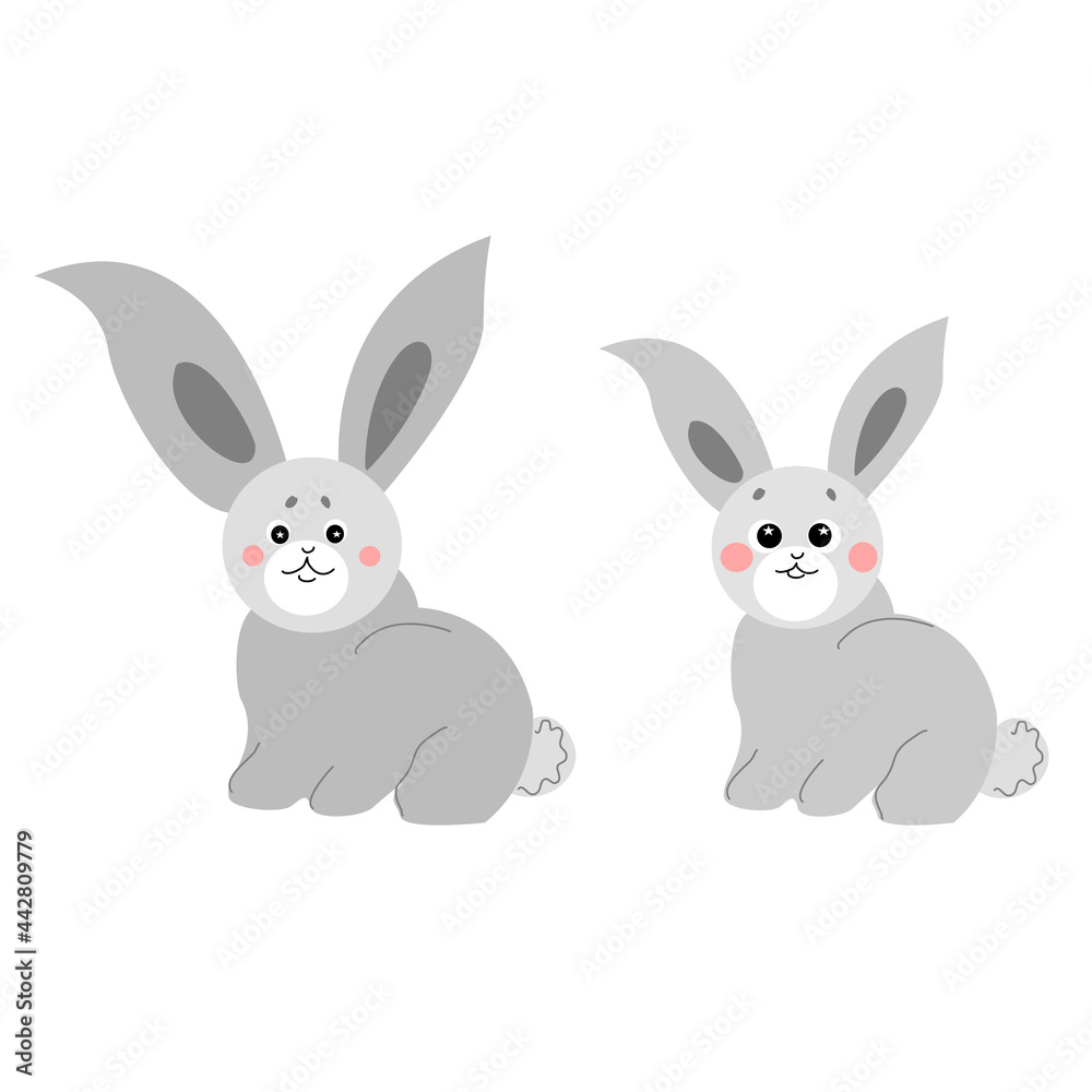 Gray domestic rabbits on a white background.
