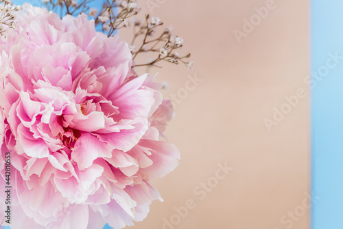 Blume Pfingstrose pastell rosa mit Karte Papier in braun zum Beschreiben