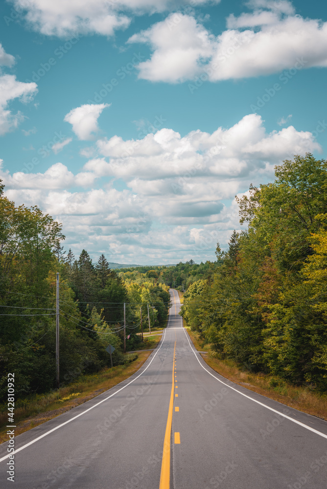 A road with trees on the side, Maine