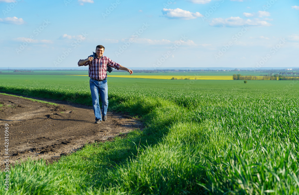 a man as a farmer walking along the field, dressed in a plaid shirt and jeans, checks and inspects young sprouts crops of wheat, barley or rye, or other cereals, a concept of agriculture and agronomy