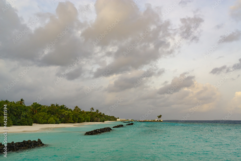 Snow-white and wet sand on the ocean, crystal clear water and bushes on the edge, a photo taken in the Maldives Snow-white and wet sand on the ocean, crystal clear water and bushes on the edge, a photo taken in the Maldives