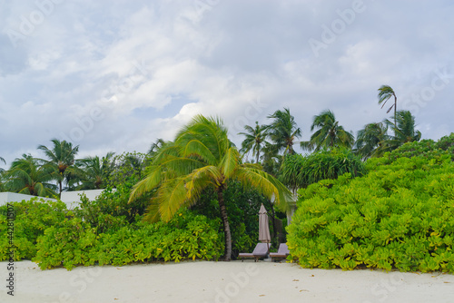 Fototapeta Naklejka Na Ścianę i Meble -  the sandy coast of a coral island in the Indian Ocean