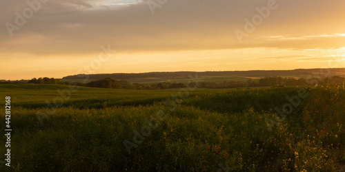 Summer sunset landscape