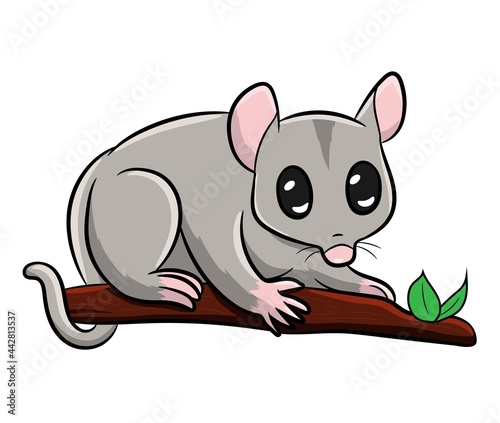 Cute Tasmanian Fuzzy possum Gray Cartoon Character