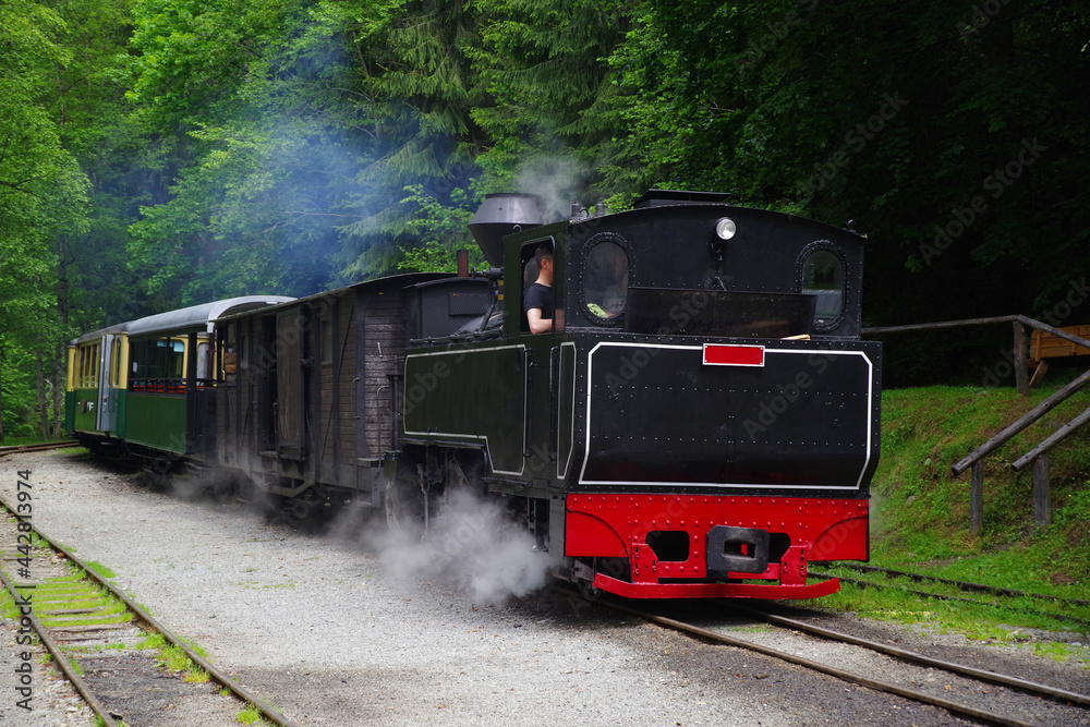 Obraz premium Mocanita touristic train - The last forestry steam working train in Europe - Romania, Maramures