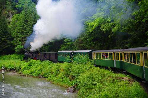 Mocanita touristic train - The last forestry steam working train in Europe - Romania, Maramures photo