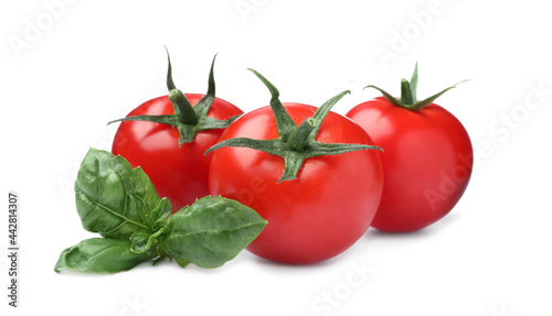 Fresh green basil leaves and tomatoes on white background