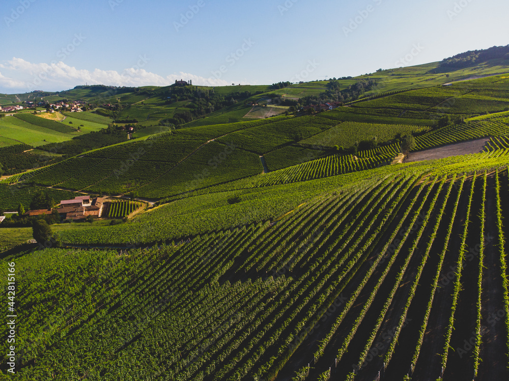 Langhe hills with vineyards seen from La Morra