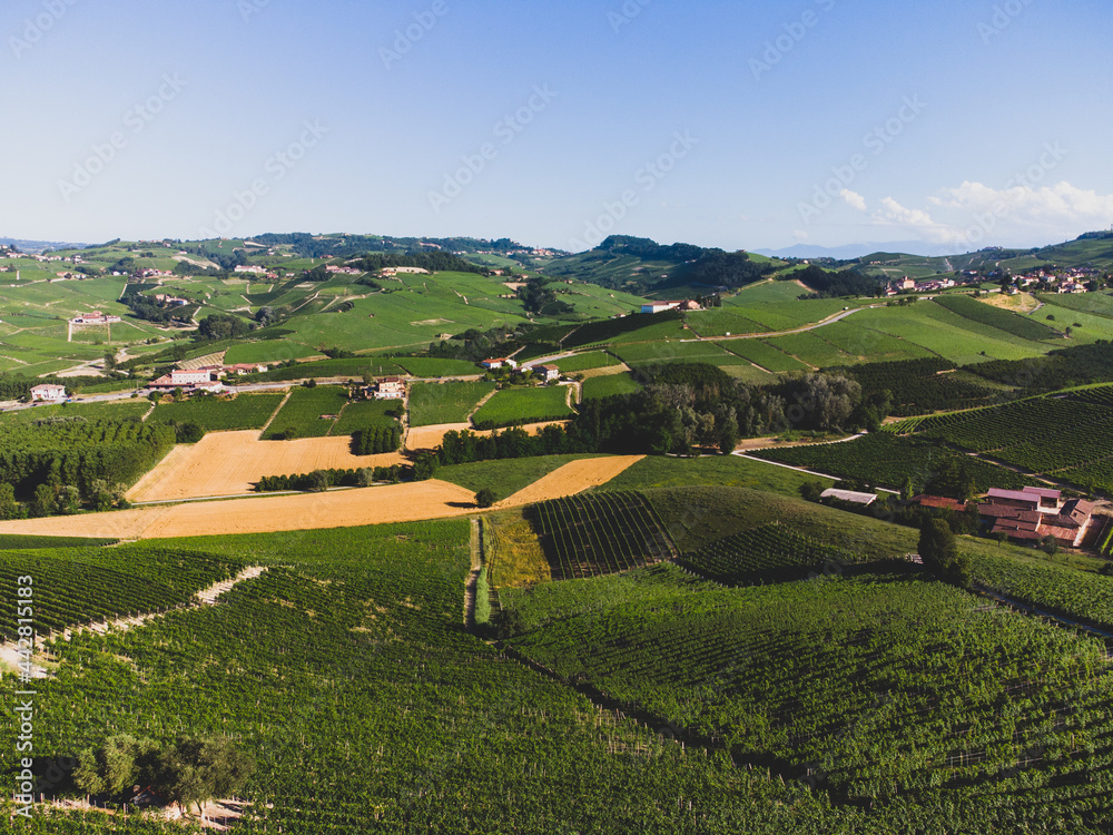 Langhe hills with vineyards seen from La Morra