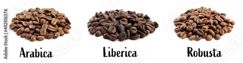 Set with different types of coffee beans on white background. Banner design