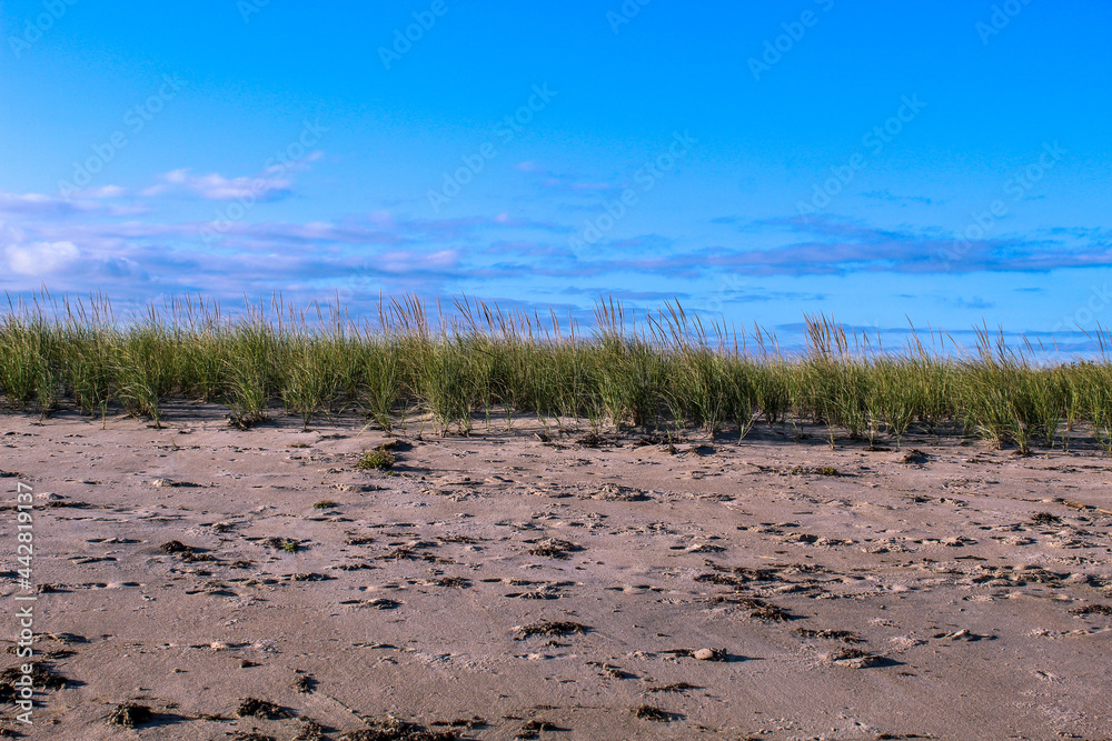 Charlestown Beach, Charlestown, Rhode Island Charlestown Beach, Charlestown, Rhode Island