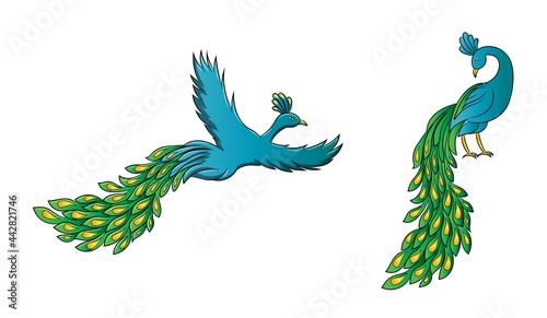 Colorful Peacock Male Flying Sitting Cartoon Character