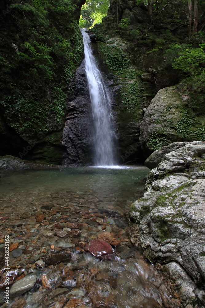 Fototapeta premium 龍王の滝 滝つぼ 梶ヶ森（高知県 大豊町） 