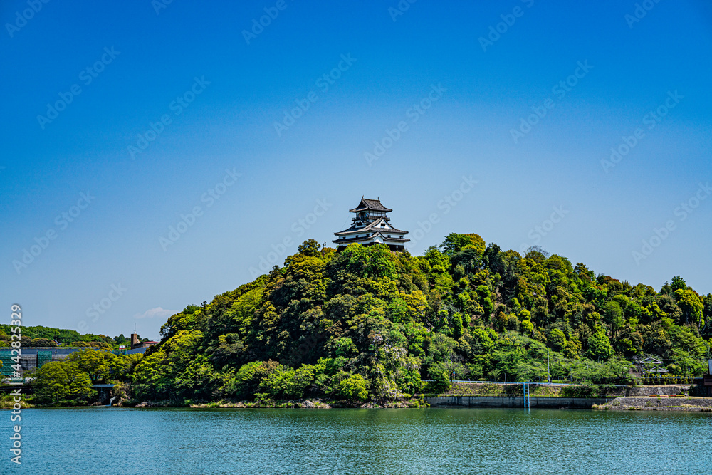 新緑の木曽川対岸から見る国宝犬山城
