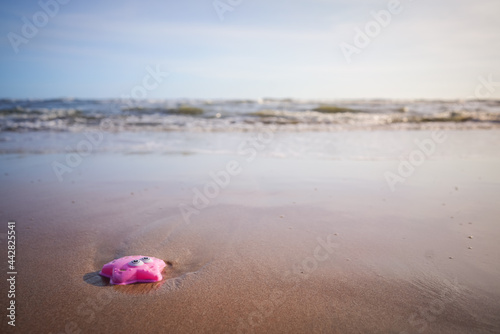 beach and sea