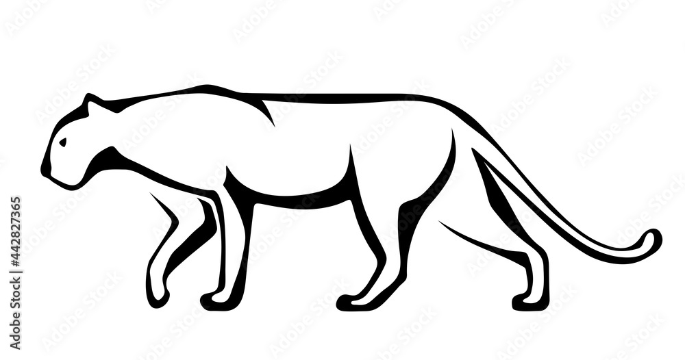 Vector black and white line art illustration of a panther isolated on a white background.