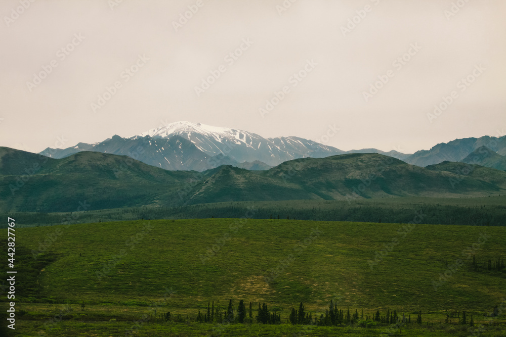 Naklejka premium Denali State Park, Alaska summer