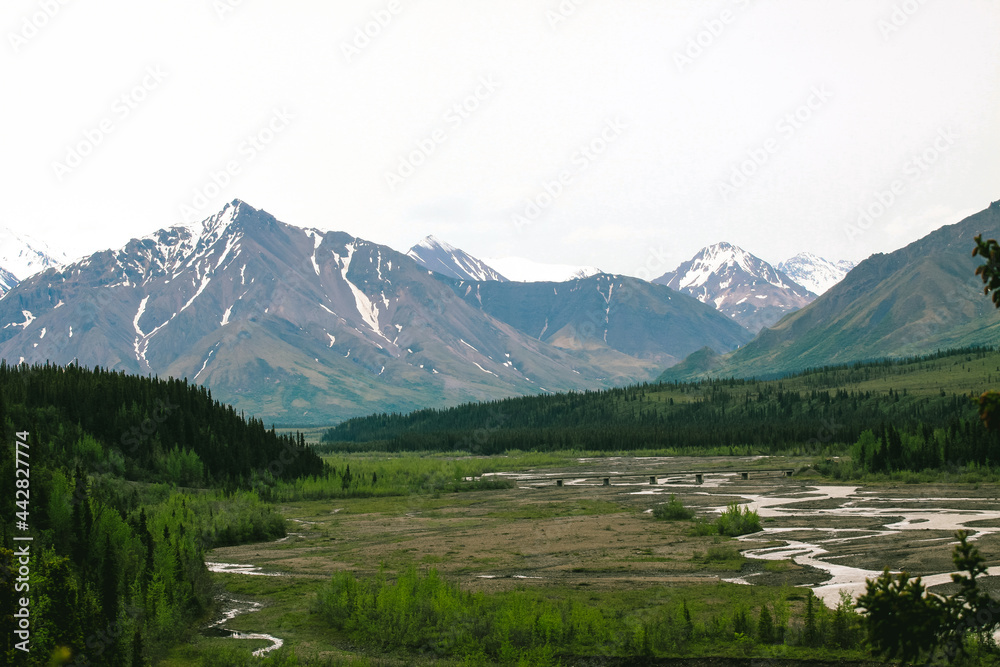 Denali State Park, Alaska summer