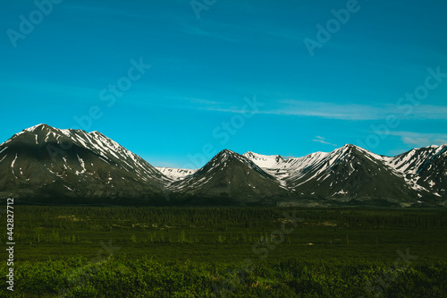 Fototapeta Naklejka Na Ścianę i Meble -  Denali State Park, Alaska summer
