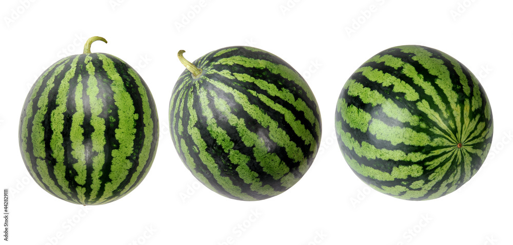 watermelon on white background watermelon on white background