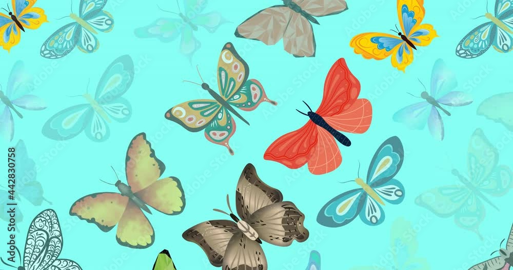Animation of rows of colourful butterflies, on blue background Animation of rows of colourful butterflies, on blue background