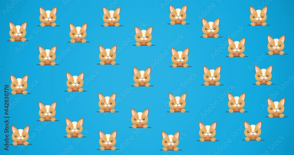 Animation of cute pet cat and dog portraits repeated, on blue background Animation of cute pet cat and dog portraits repeated, on blue background