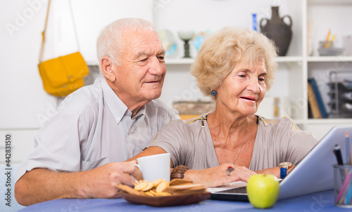 Portrait of cheerful mature spouses using laptop at home