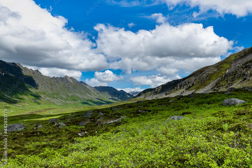 Obraz premium landscape with blue sky and clouds