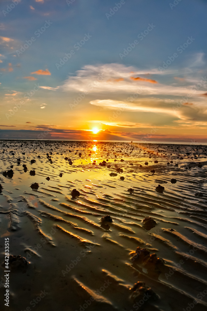 Naklejka premium sunset on the beach