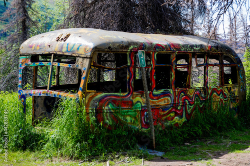 old bus in the midlle of forrest photo