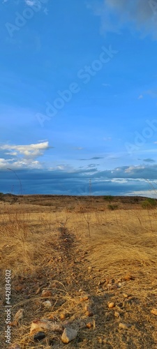 Fototapeta Naklejka Na Ścianę i Meble -  sand dunes at sunset