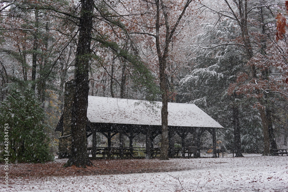 Stratton Brook State Park Simsbury Connecticut.  A snow covered picnic area in the forest during an early snowfall in autumn.